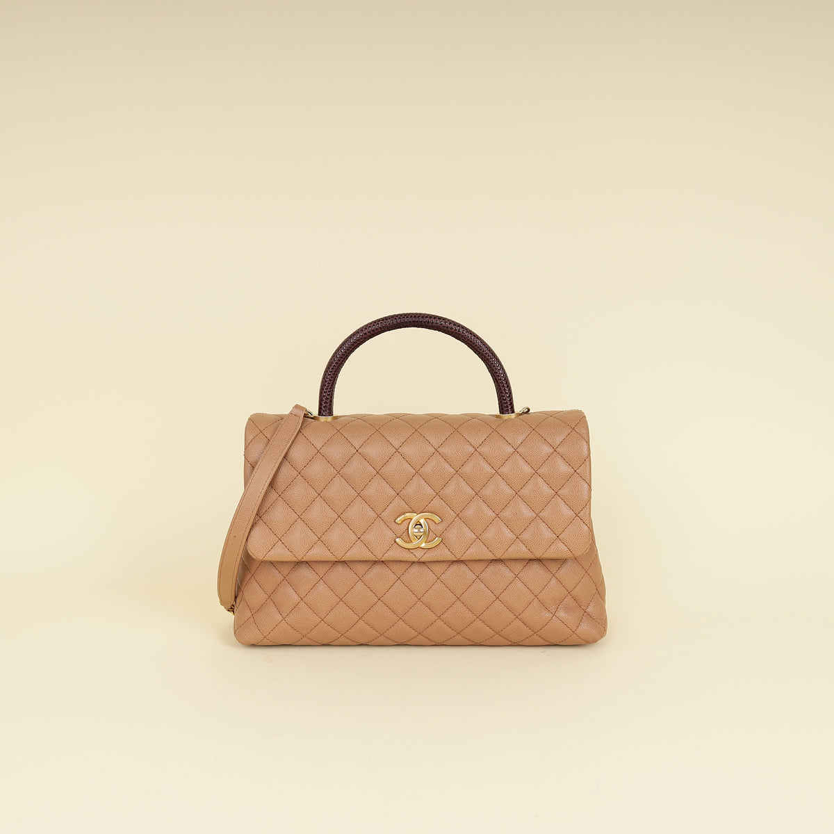 Chanel Bicolor CC Coco Handle Lizard Touch Bag