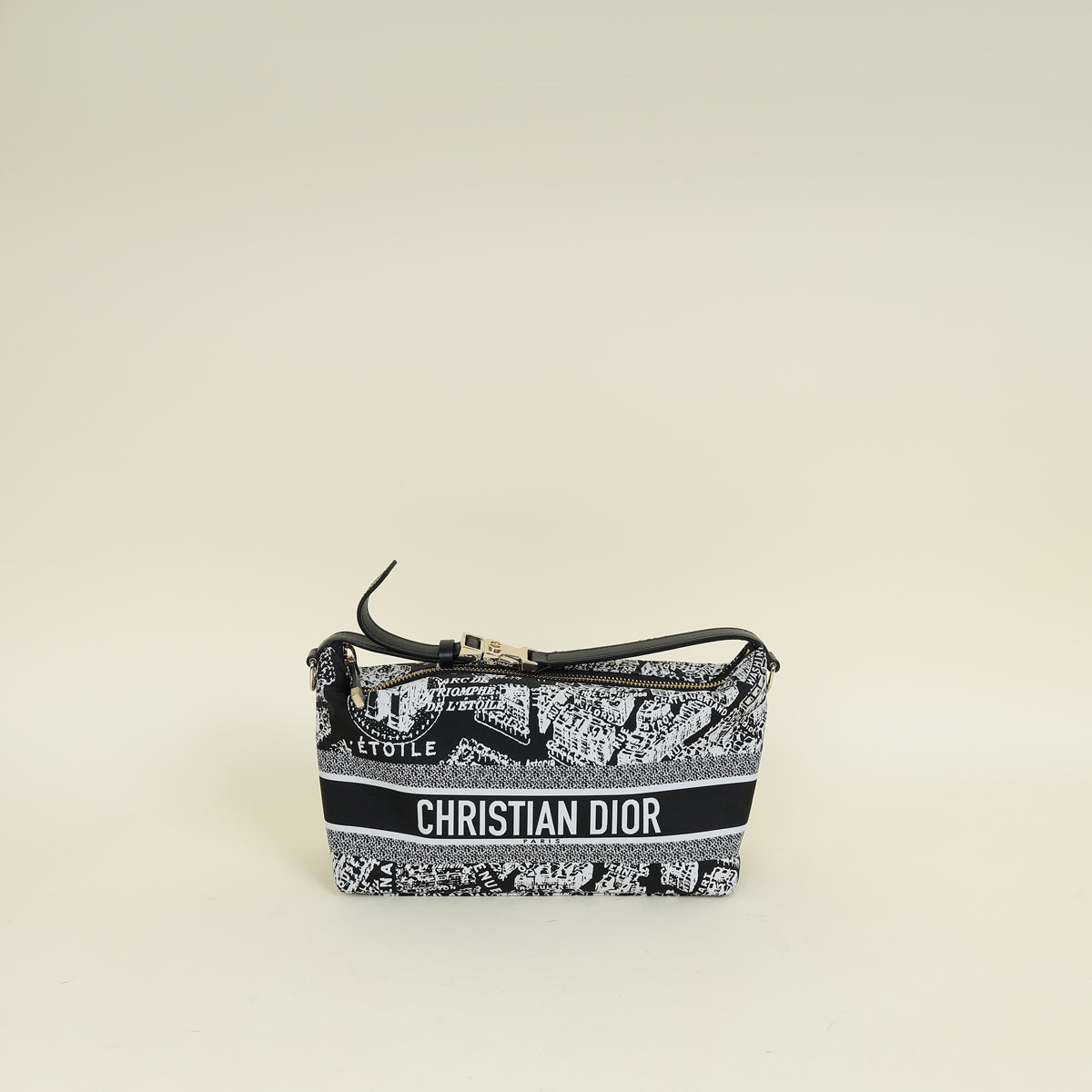 Christian Dior Bicolor Plan De Partis Diortravel Nomad Medium Pouch
