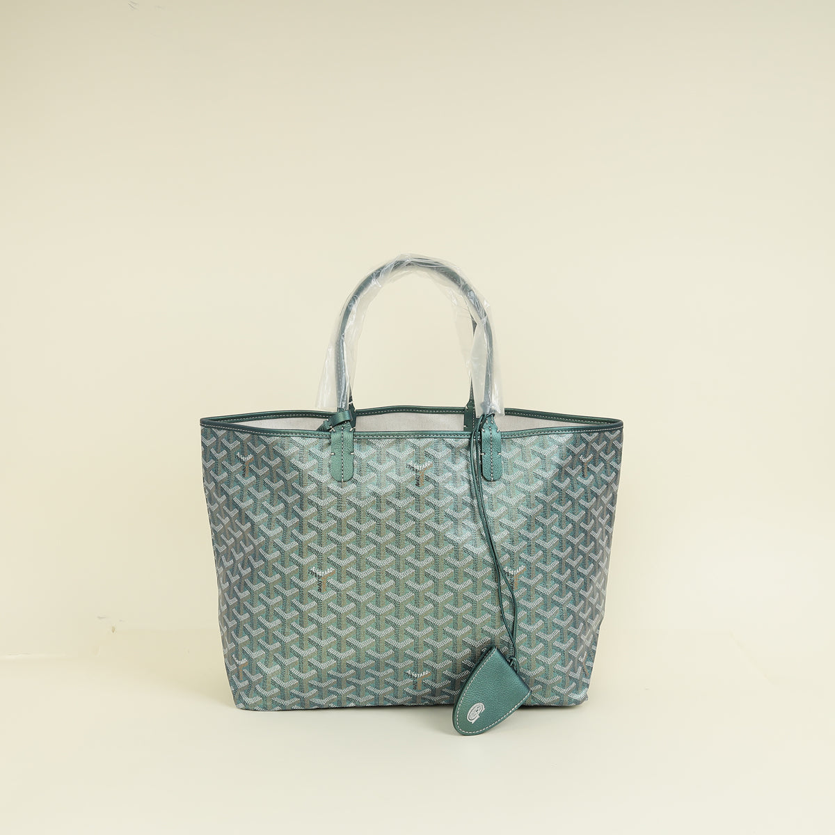 Goyard Pearly Green Limited Edition 2024 Pearly Goyardine Saint Louis PM Bag