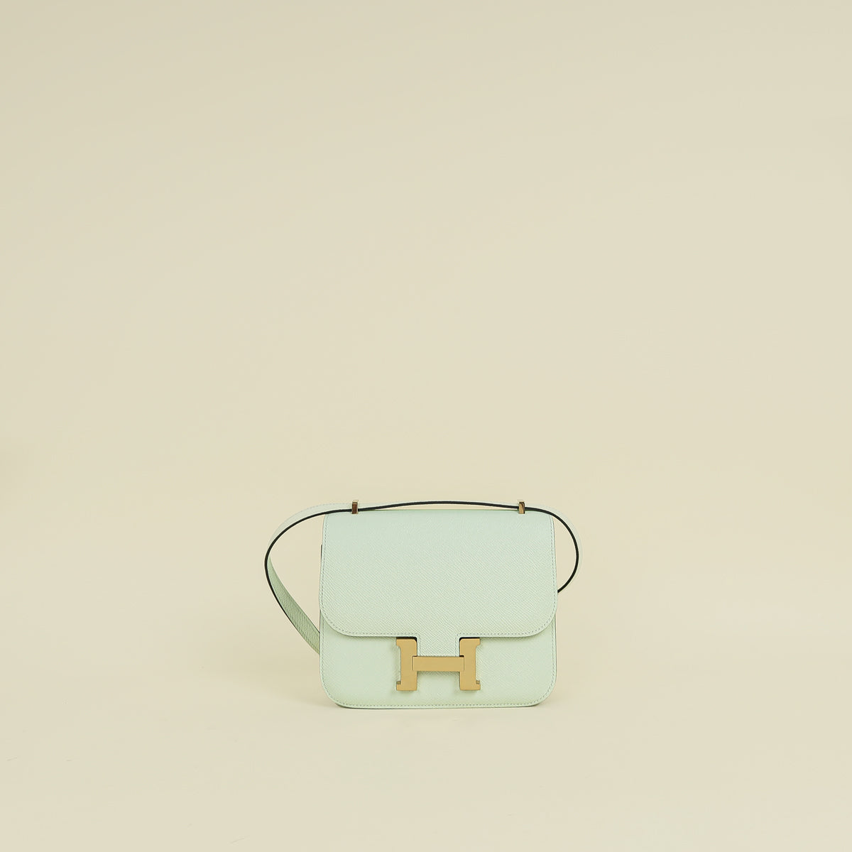 Hermes Vet Fizz Constance III Mini Mirror Bag