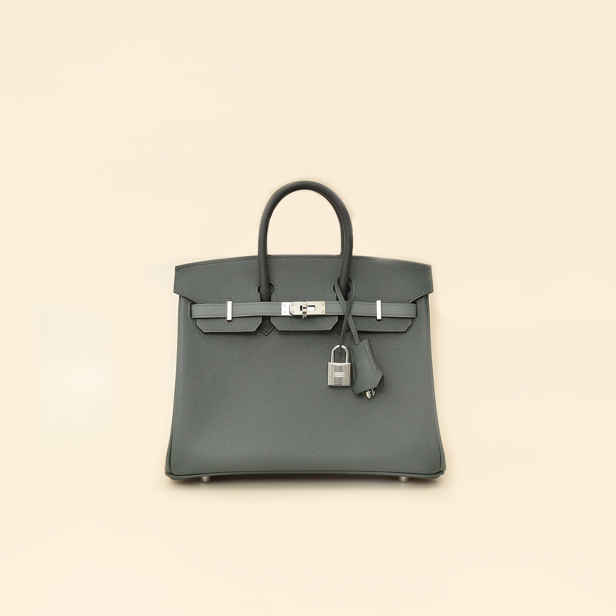 Hermes Tricolor Birkin 25 Bag