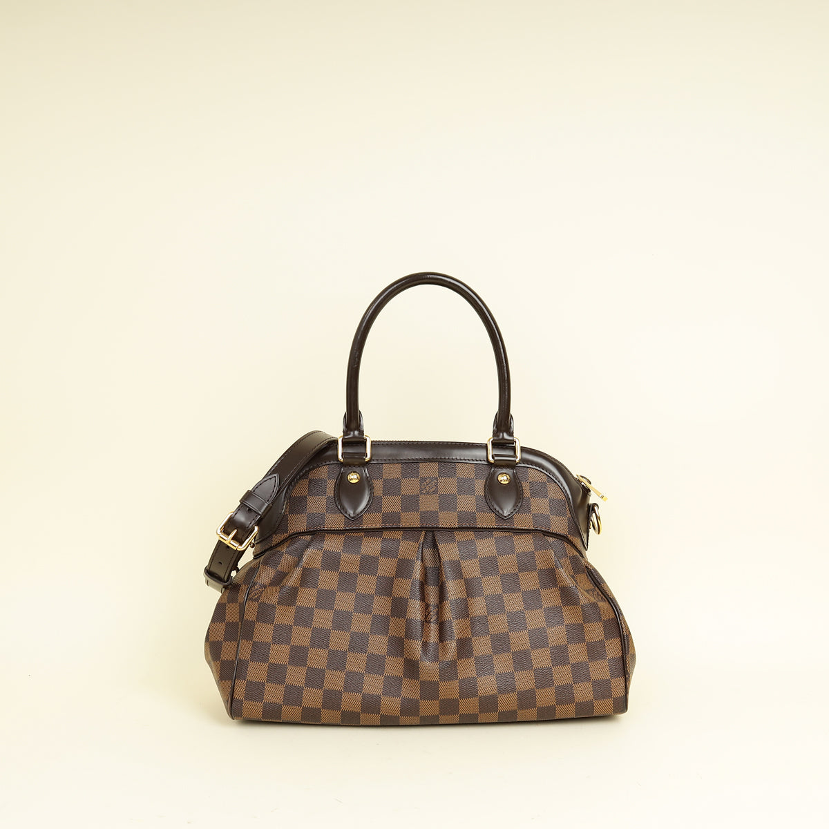 Louis Vuitton Damier Ebene Trevi PM Bag