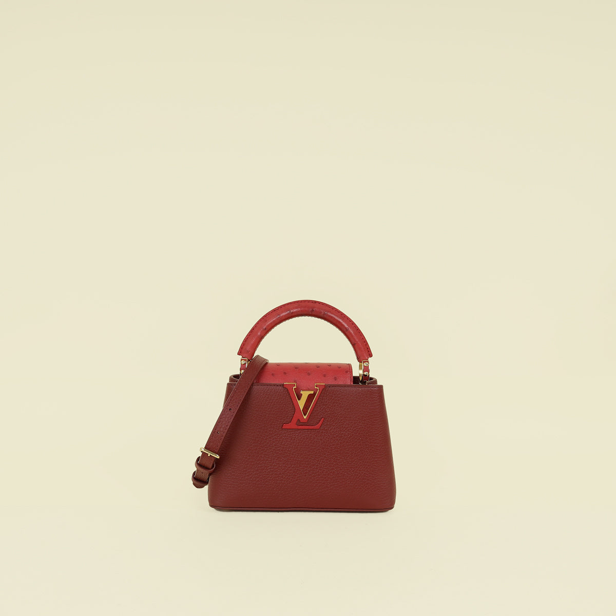 Louis Vuitton Bicolor Mini Capucines Bag
