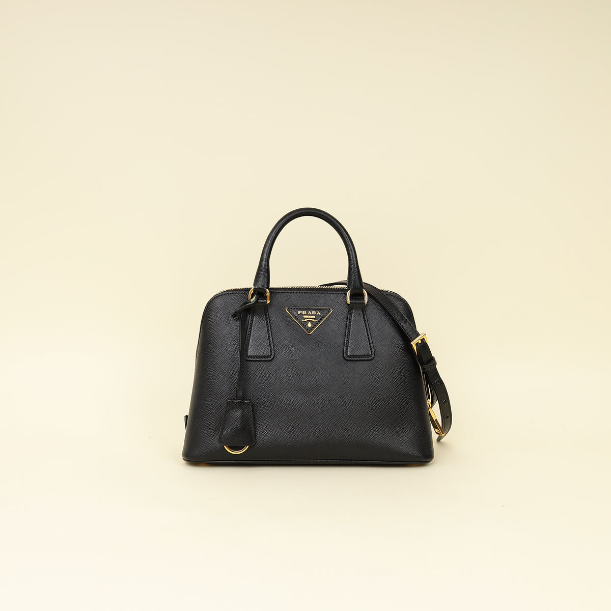 Prada Black Lux Promenade Small Bag