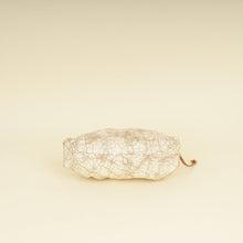 Bottega Veneta Zabaione Crackled The Mini Pouch