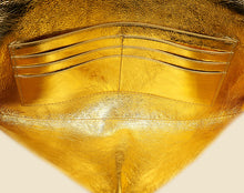 Bottega Veneta Metallic Gold Intrecciato Andiamo Clutch