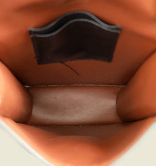 Burberry Bridle Brown TB Robin Bag