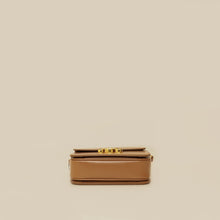 Celine Brown Teen Triomphe Bag