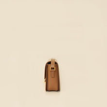 Celine Brown Teen Triomphe Bag
