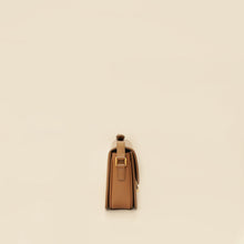 Celine Brown Teen Triomphe Bag