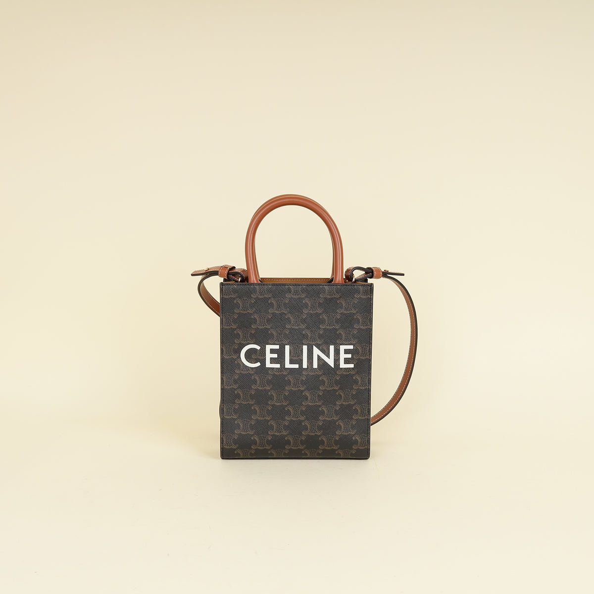 Celine Tricolor Triomphe Mini Vertical Cabas Bag