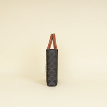 Celine Tricolor Triomphe Mini Vertical Cabas Bag