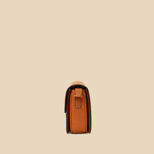 Celine Tan Classique Triomphe Natural Flap Bag