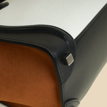 Celine Tricolor Micro Luggage Bag
