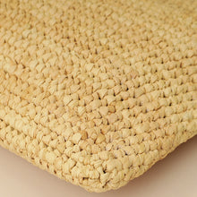 Celine Bicolor Raffia Triomphe Small Wristlet Pouch