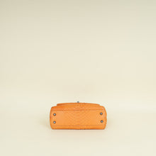 Chanel Orange Python Coco Handle Bag