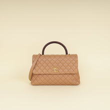 Chanel Bicolor CC Coco Handle Lizard Touch Bag