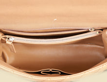 Chanel Bicolor CC Coco Handle Lizard Touch Bag
