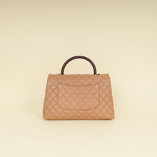 Chanel Bicolor CC Coco Handle Lizard Touch Bag