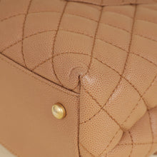 Chanel Bicolor CC Coco Handle Lizard Touch Bag