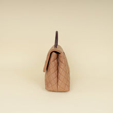 Chanel Bicolor CC Coco Handle Lizard Touch Bag