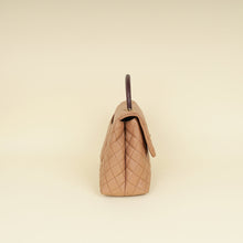 Chanel Bicolor CC Coco Handle Lizard Touch Bag