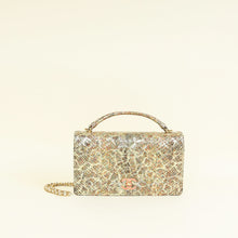 Chanel Multicolor CC Full Flap Python Top Handle Bag