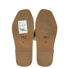 Chloe Bicolor Woody Flat Mule 40