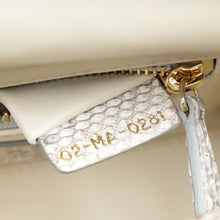 Christian Dior Bicolor Python Mini Lady Dior Bag