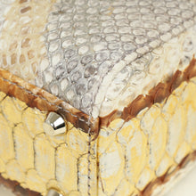 Christian Dior Bicolor Python Mini Lady Dior Bag
