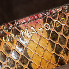 Christian Dior Multicolor Saddle Python Medium Bag