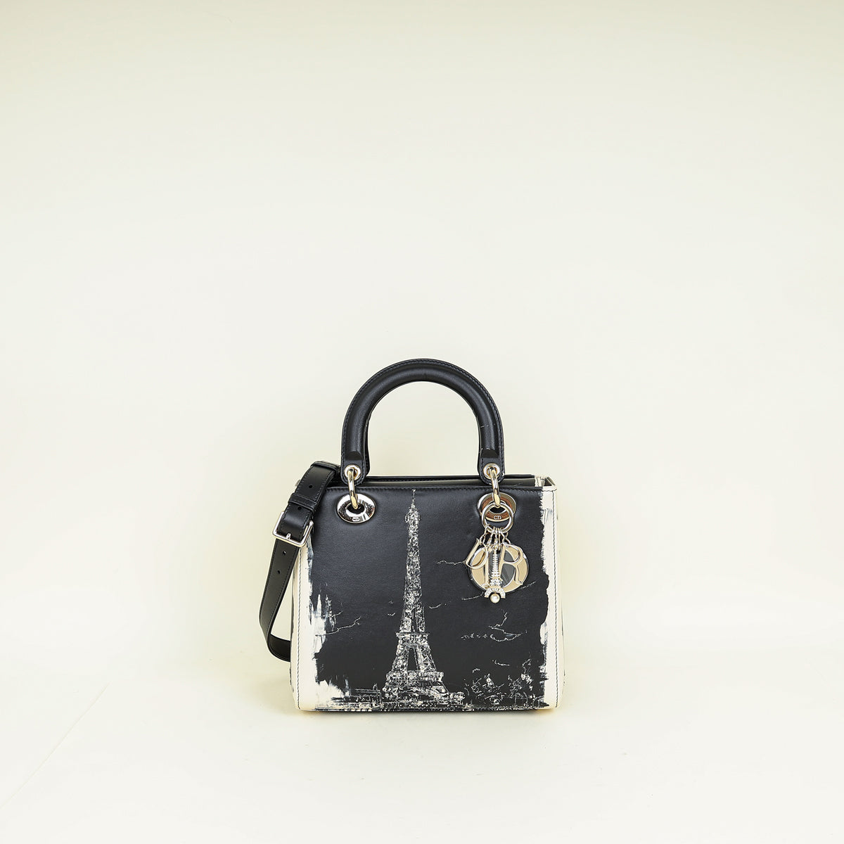 Christian Dior Bicolor Lady Dior Paris Print and Rhinestone Embroidery Medium Bag