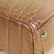 Christian Dior Tricolor Lady Dior Alligator Mini Chain Bag