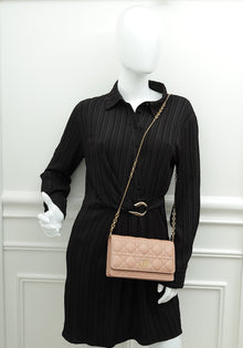 Christian Dior Rose des Vents Caro Pouch with Chain