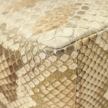 Christian Dior Metallic Golden Beige Python Caro Flap Medium Shoulder Bag