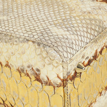 Christian Dior Bicolor Python Lady Dior Medium Bag