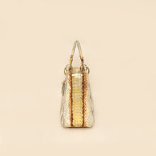 Christian Dior Bicolor Metallic Python Lady Dior medium Bag