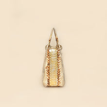 Christian Dior Bicolor Metallic Python Lady Dior medium Bag