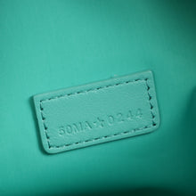 Christian Dior Aqua Toile de Jouy DiorTravel Nomad Medium Pouch