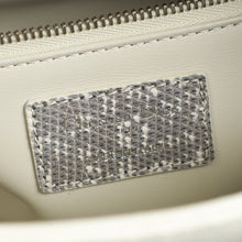Christian Dior White Ombre Lizard Lady Dior Small Bag