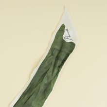 Christian Dior Olive Multicolor Plumes Letter Silk Twilly