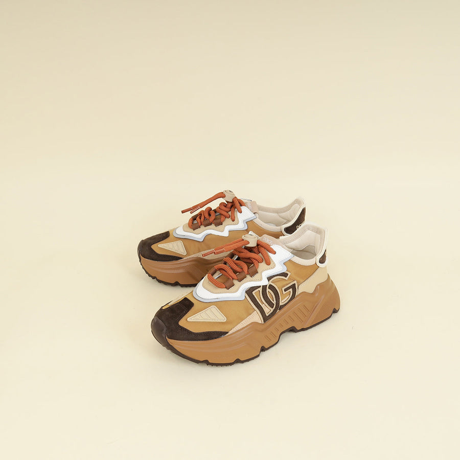 Dolce & Gabbana Brown Multicolor DG Logo Daymaster Sneakers 36