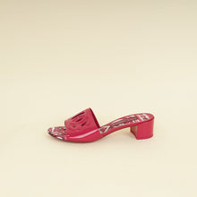 Dolce & Gabbana Fuchsia DG Logo Bianca Mules 38