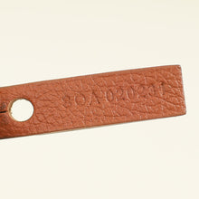 Goyard Bicolor Goyardine Reversible Anjou Mini Bag