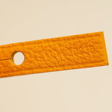 Goyard Yellow Goyardine Anjou Reversible PM Bag