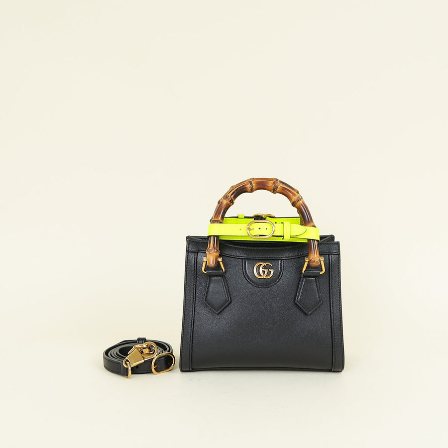 Gucci Bicolor Diana Small Bag