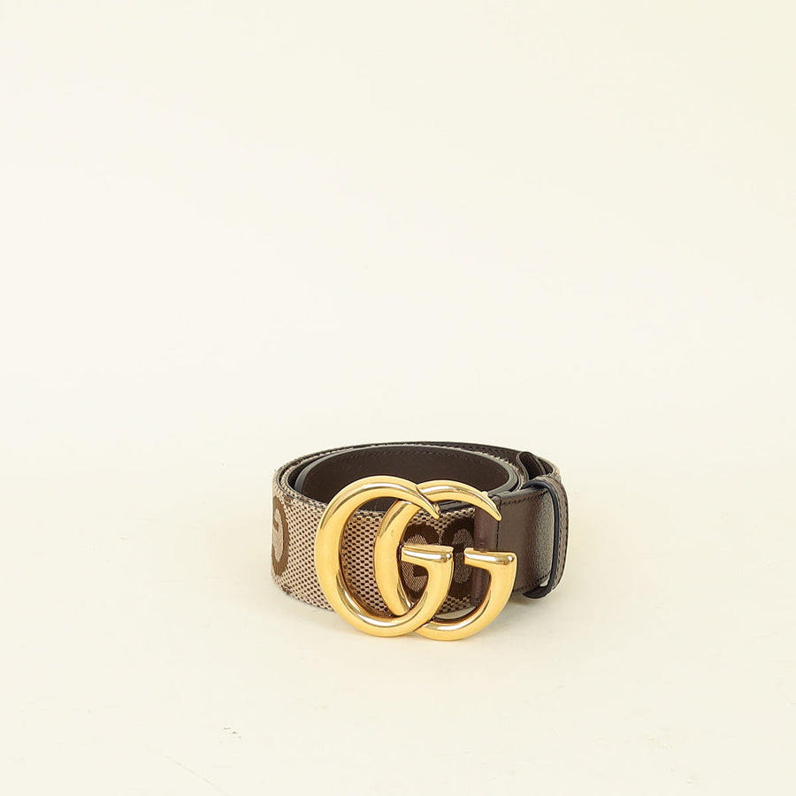 Gucci Brown Double G Wide Belt 30
