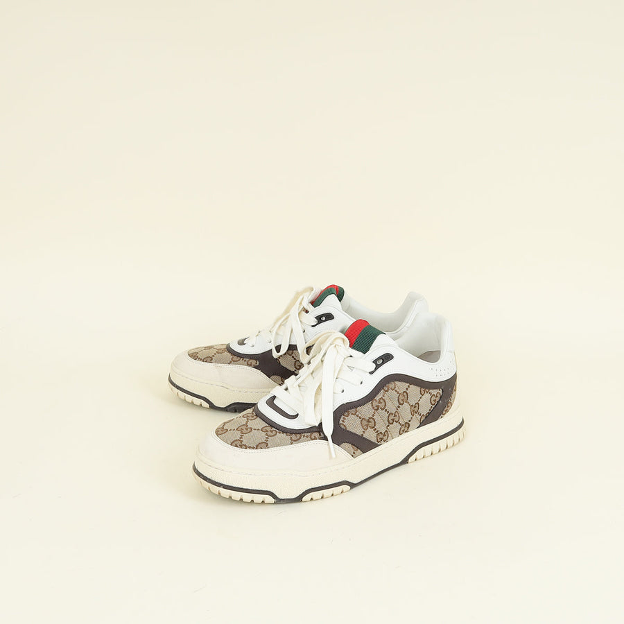 Gucci Multicolor Re-Web Trainer 9.5