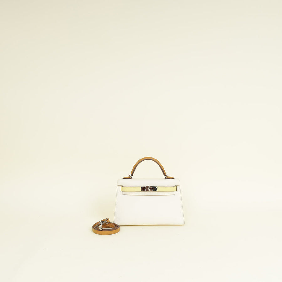 Hermes Tricolor Kelly Sellier 20 Bag