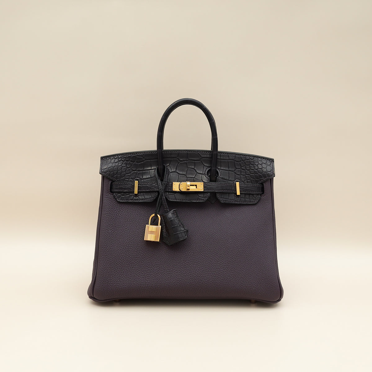 Hermes Bicolor Birkin Touch 25 Bag